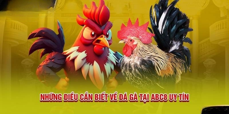 Tìm hiểu chung về đá gà ABC8 là gì?